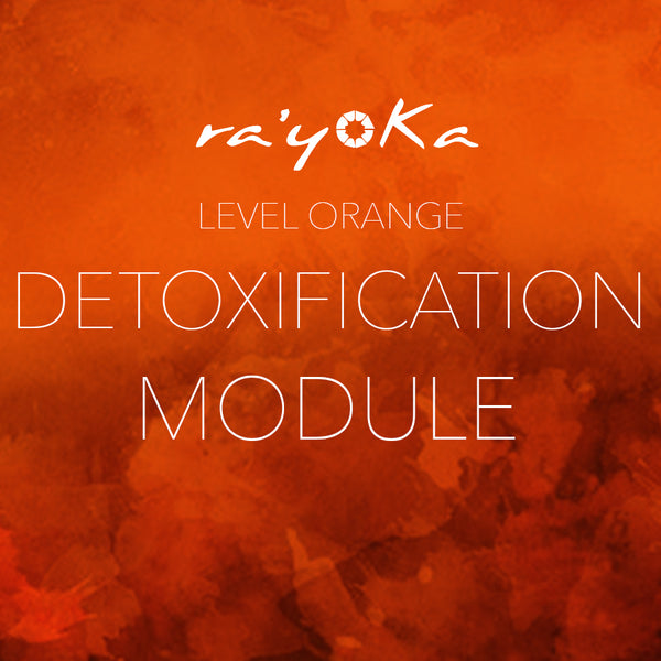 Level Orange DETOXIFICATION Module VIDEO DOWNLOAD