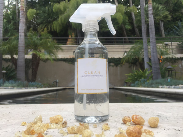 CLEAN :: All-Purpose Cleaning Spray